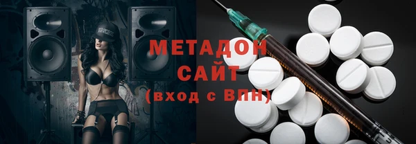 прущие грибы Алзамай