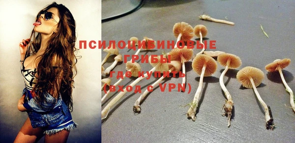 СК Абаза