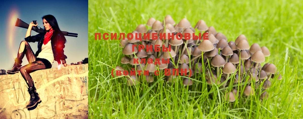 эйфоретик Нея