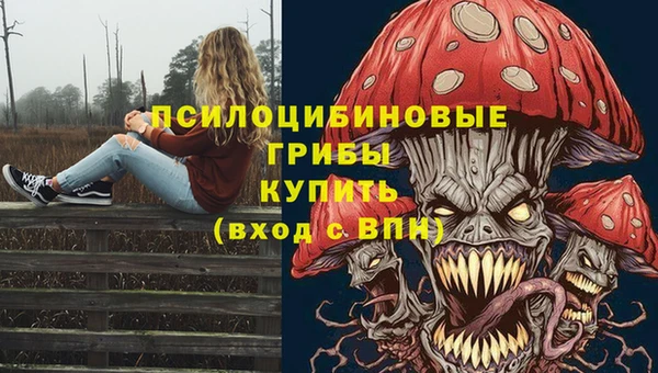 прущие грибы Алзамай
