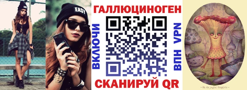 Псилоцибиновые грибы GOLDEN TEACHER  Владикавказ 